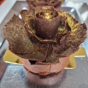 Schoko Kirsch Törtchen